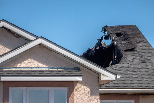 Top rated local Odor Removal specialists in Riverview, FL